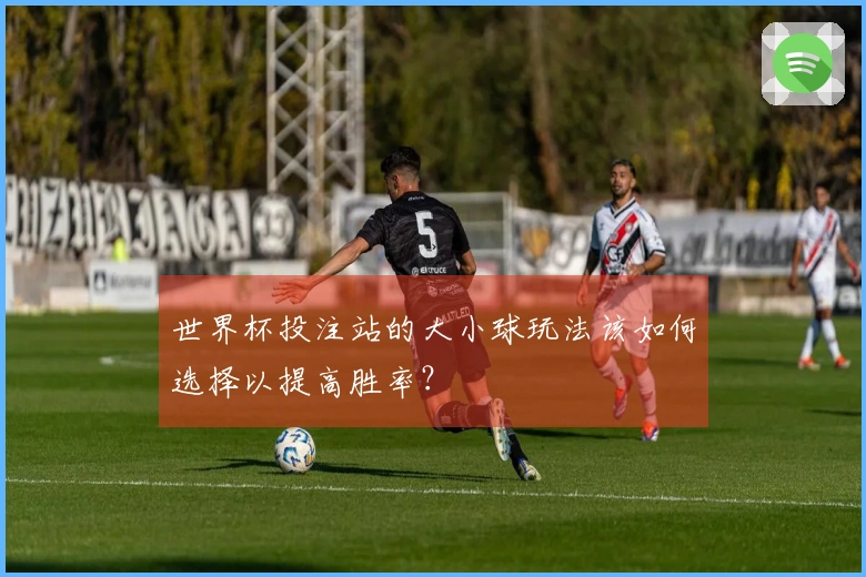 世界杯投注站的大小球玩法该如何选择以提高胜率？