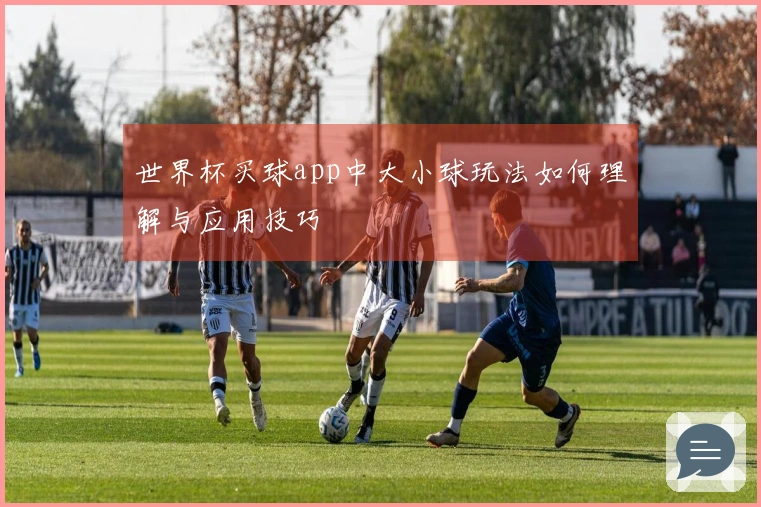 世界杯买球app中大小球玩法如何理解与应用技巧