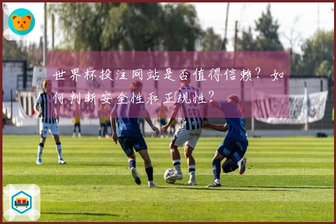 世界杯投注网站是否值得信赖?如何判断安全性和正规性?