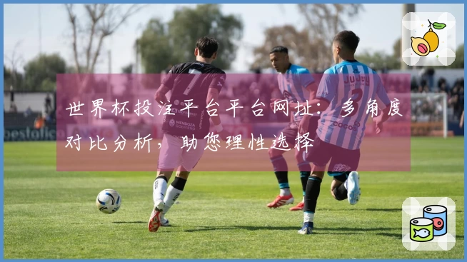 世界杯投注平台平台网址：多角度对比分析，助您理性选择