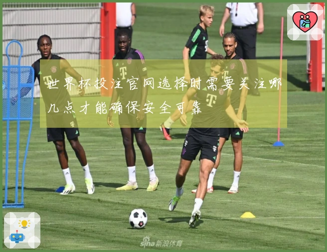世界杯投注官网选择时需要关注哪几点才能确保安全可靠