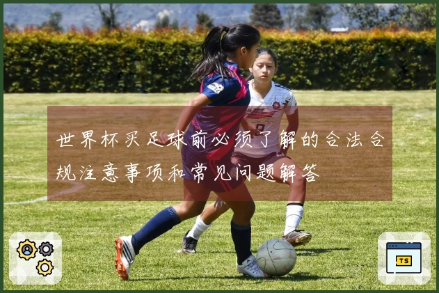 世界杯买足球前必须了解的合法合规注意事项和常见问题解答