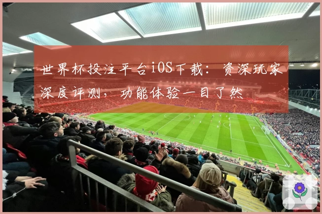 世界杯投注平台iOS下载：资深玩家深度评测，功能体验一目了然