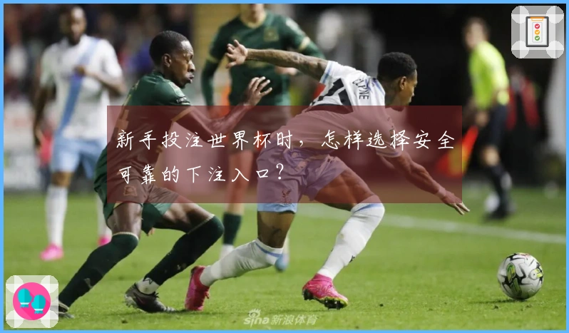 新手投注世界杯时,怎样选择安全可靠的下注入口?