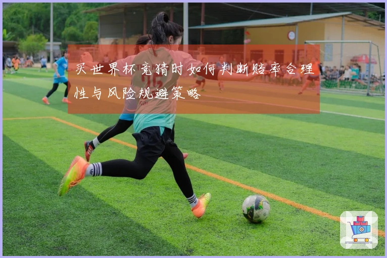 买世界杯竞猜时如何判断赔率合理性与风险规避策略