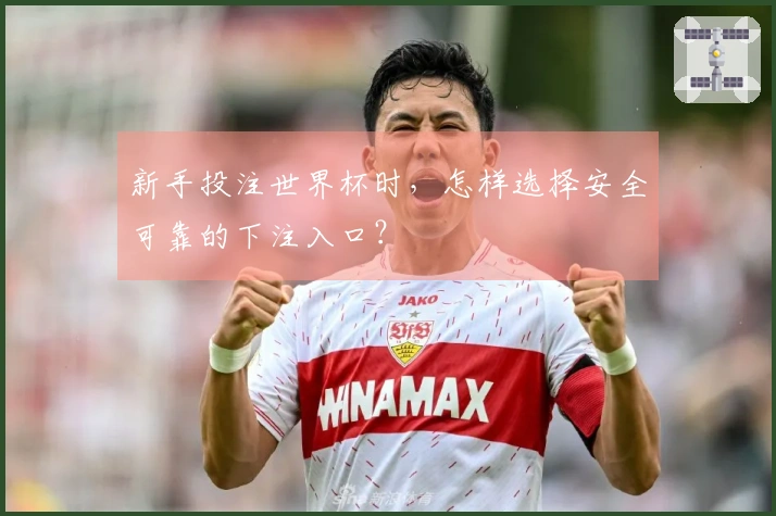 新手投注世界杯时，怎样选择安全可靠的下注入口？